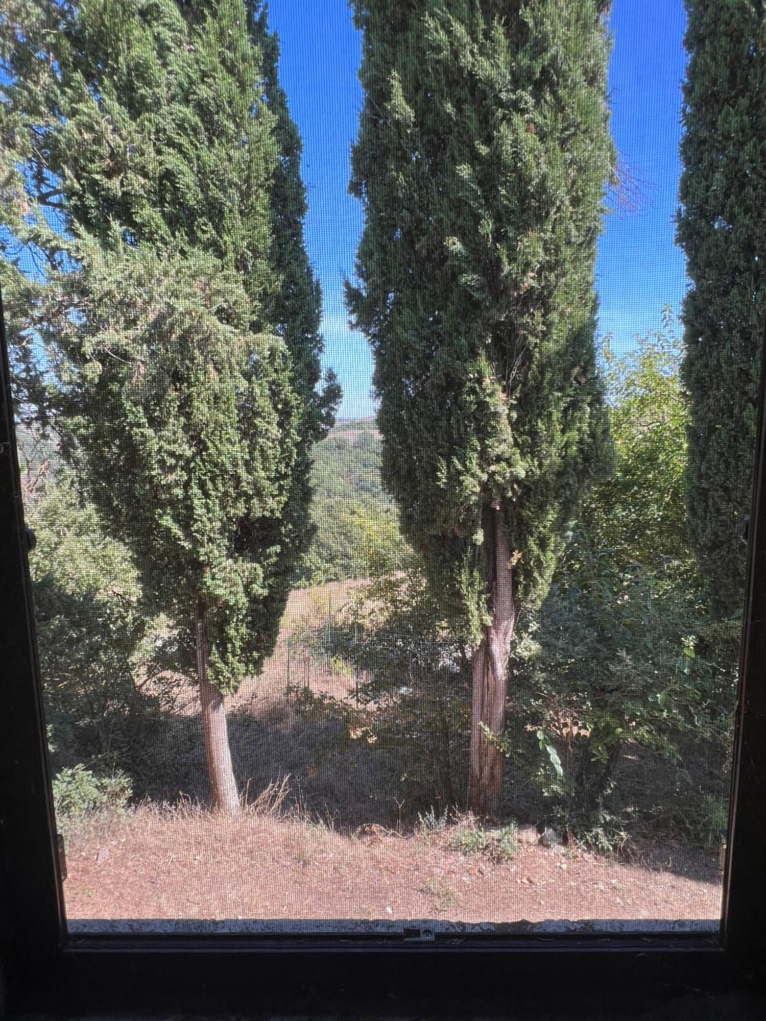 Chiusure Agriturismo Diffuso Monte Oliveto Maggiore מראה חיצוני תמונה